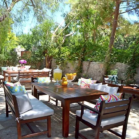 Lemon Garden